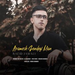 Saeid Jamali – Aramesh Zendegi Man